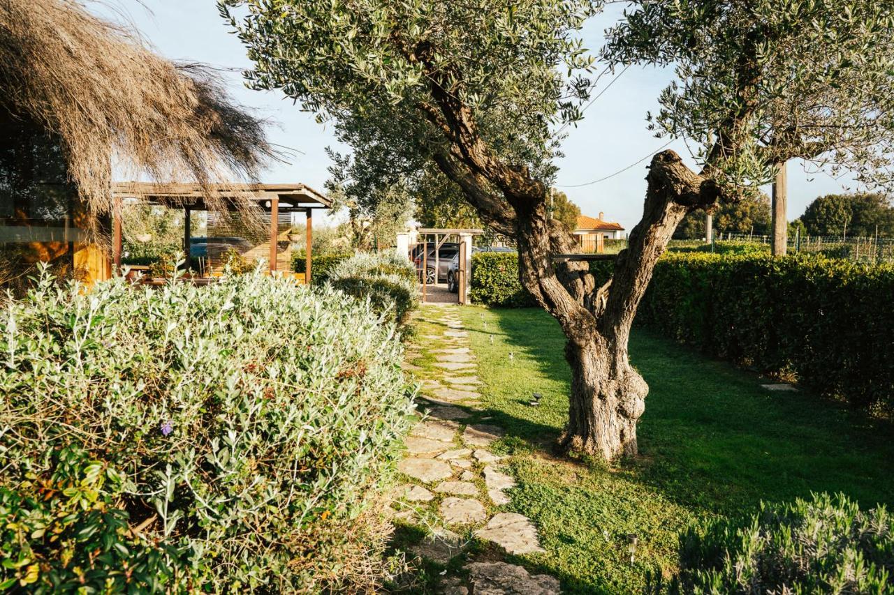 Agriturismo Sweet Cottage Marina di Grosseto Kültér fotó